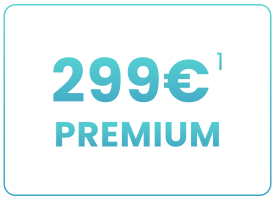 Preis 299 € für Premium Angebot
